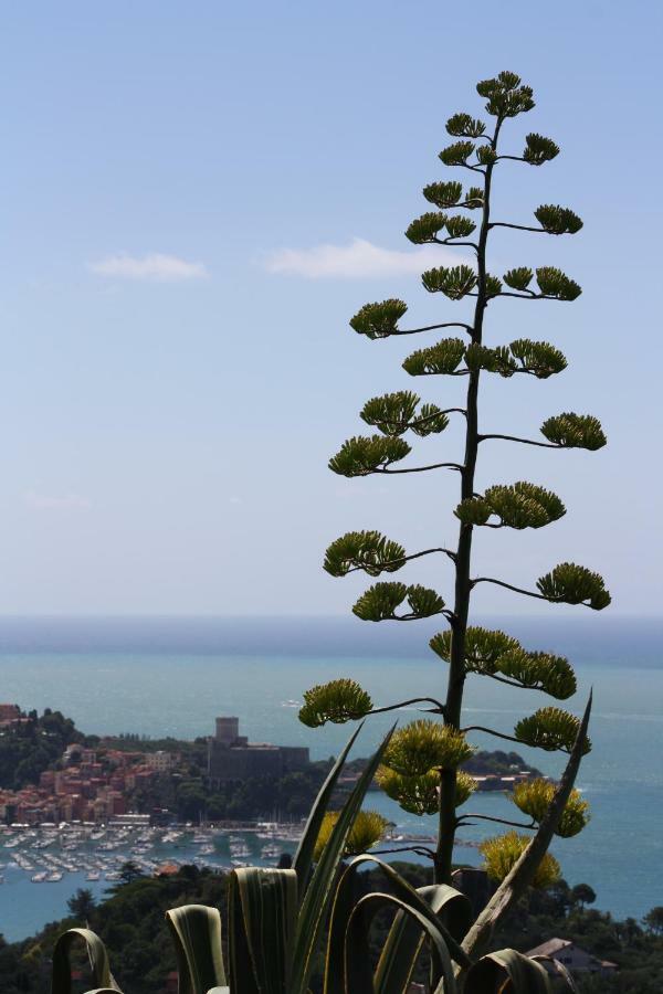 Agave Di Lerici Exterior foto