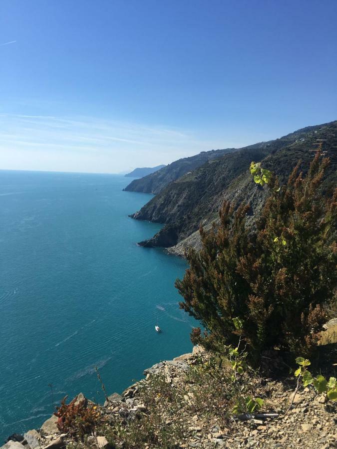 Agave Di Lerici Exterior foto