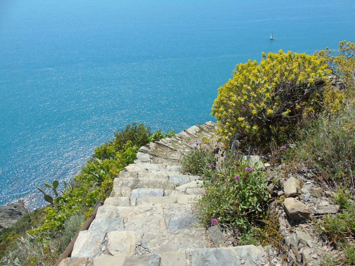 Agave Di Lerici Exterior foto