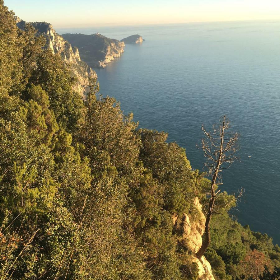 Agave Di Lerici Exterior foto